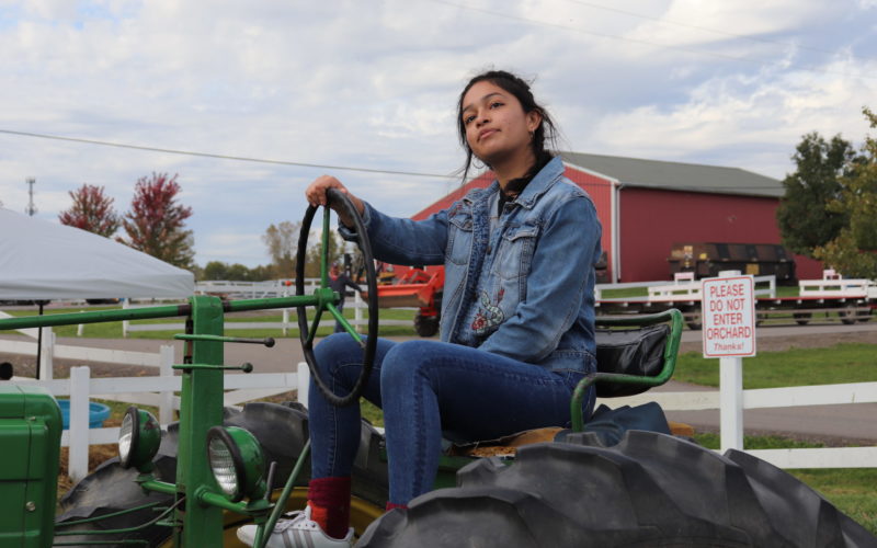 person sitting on tractor